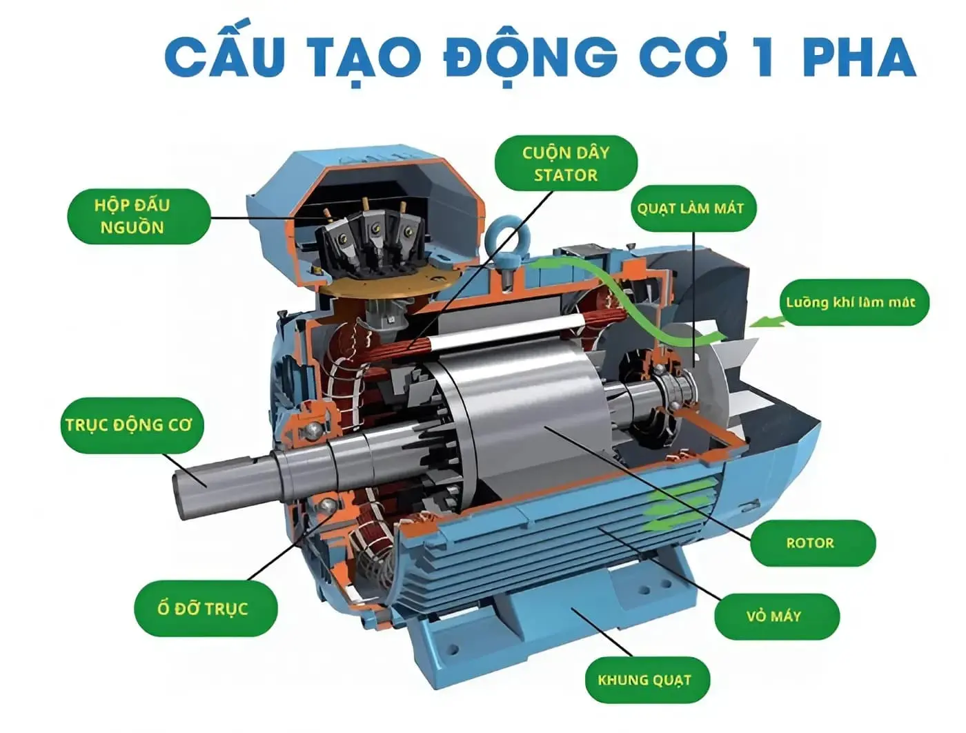 Hình ảnh minh họa